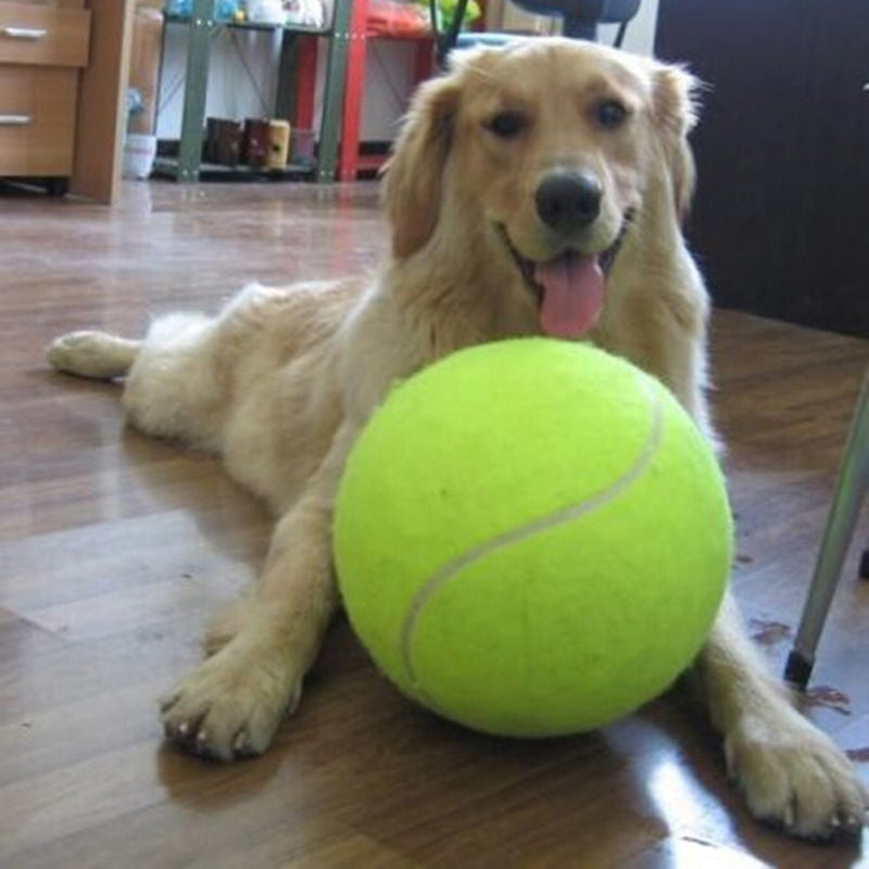 Wide-Load (Ball for Dogs)