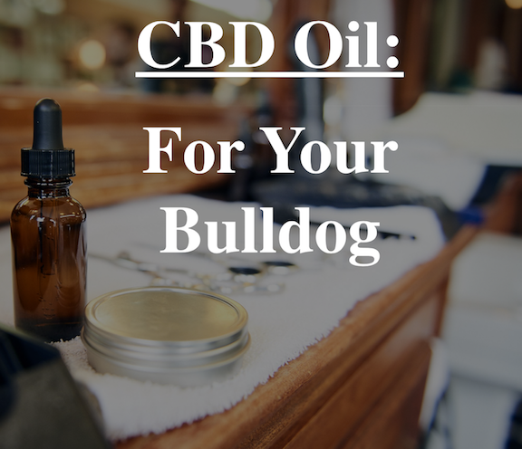 Cannabis Extract for Bullie-Relief