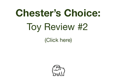 Chester's Choice: Toy Review #2