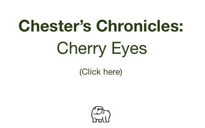 Chester's Chronicles: Cherry Eyes